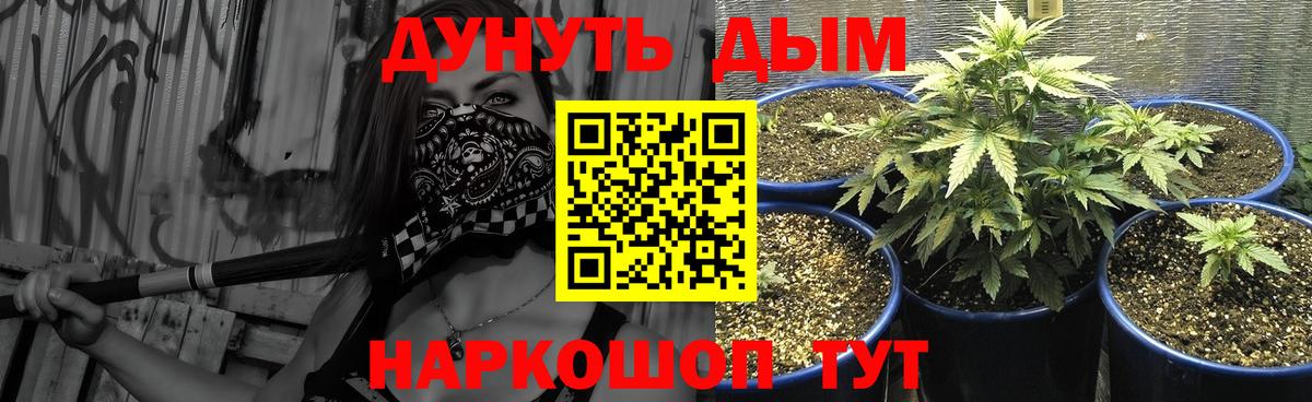 Каннабис White Widow  Конопля планчик  Бошки марихуана SATIVA & INDICA  Сочи  Вход с VPN 